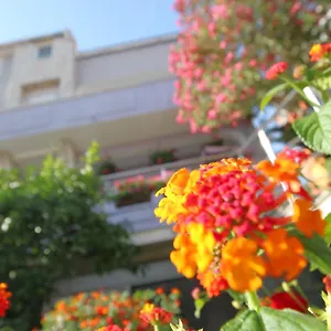  Apartament Pejić Chorwacja